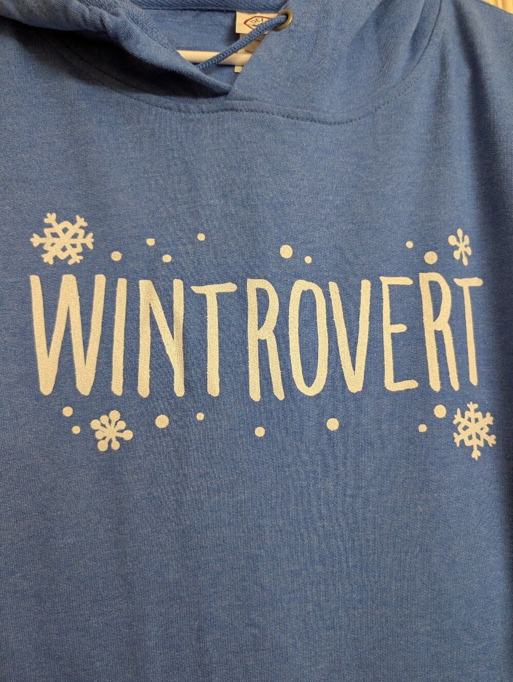 Wintrovert Graphic Hoodie 3XL Blue Winter Sweatshirt Snowflake Hoodie